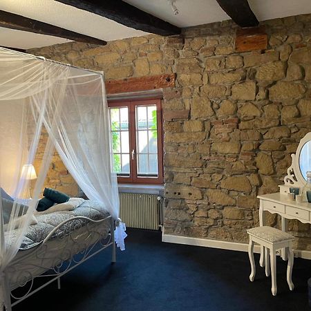 Maison De Charme "Le Moulin D'Hagenthal" - Chambre Romantique Apartment Екстериор снимка