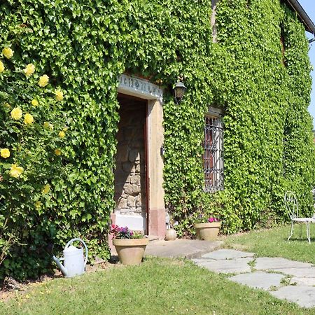 Maison De Charme "Le Moulin D'Hagenthal" - Chambre Romantique Apartment Екстериор снимка