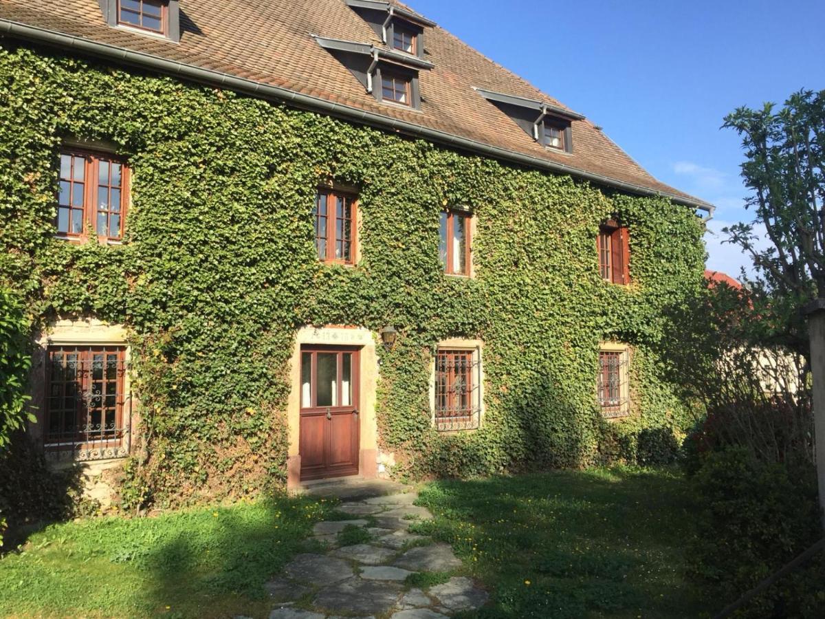 Maison De Charme "Le Moulin D'Hagenthal" - Chambre Romantique Apartment Екстериор снимка